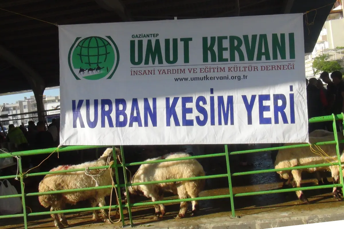 Gaziantep'te Umut Kervanı'nın kurban kesim ve dağıtım çalışmaları sürüyor galeri görseli 3