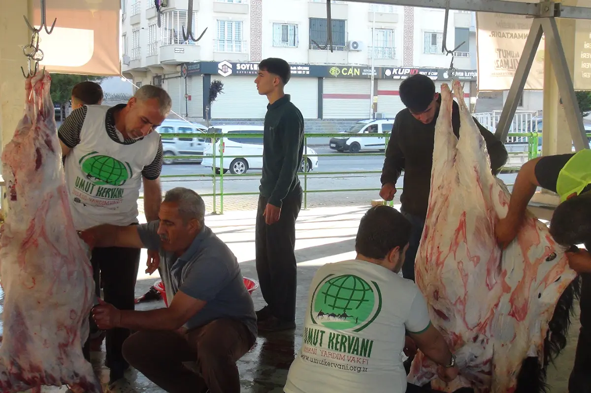 Gaziantep'te Umut Kervanı'nın kurban kesim ve dağıtım çalışmaları sürüyor galeri görseli 8