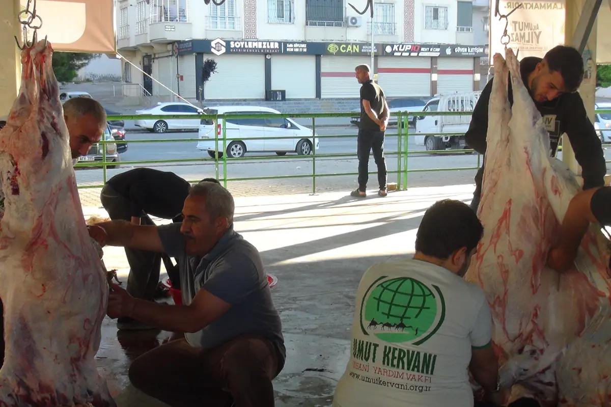 Gaziantep'te Umut Kervanı'nın kurban kesim ve dağıtım çalışmaları sürüyor galeri görseli 6