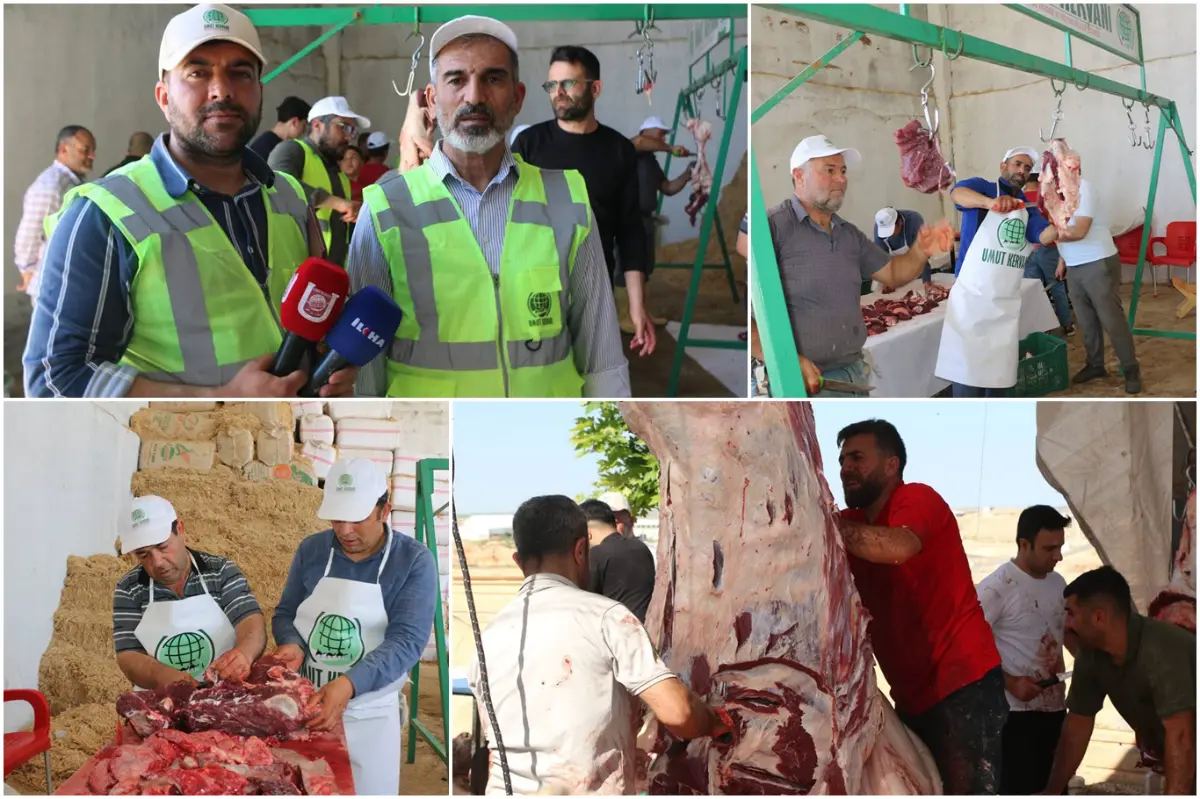 Şanlıurfa'da Umut Kervanı tarafından kurban kesimi gerçekleştirildi galeri görseli 4