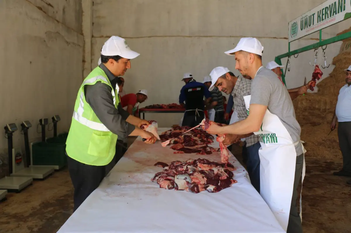 Şanlıurfa'da Umut Kervanı tarafından kurban kesimi gerçekleştirildi galeri görseli 5