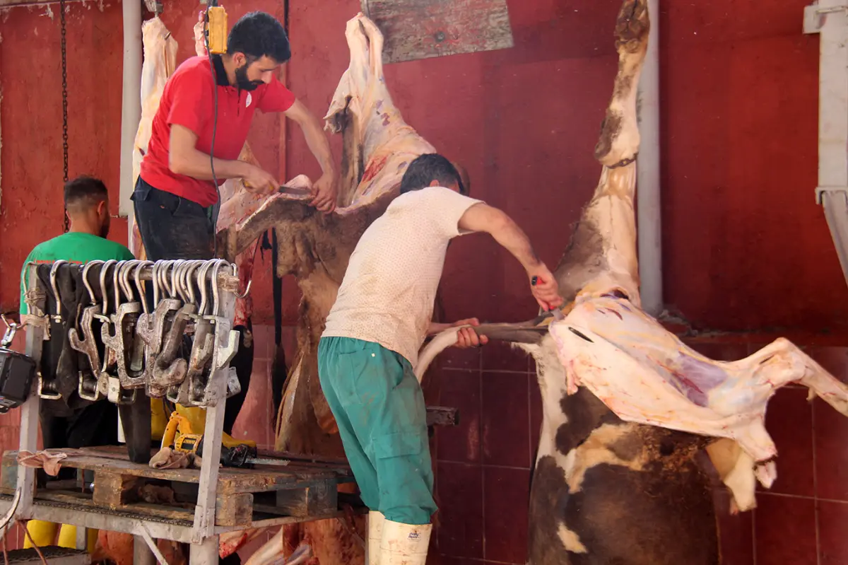 Diyarbakır’da dört yardım kuruluşunun kurban kesimleri başladı galeri görseli 2
