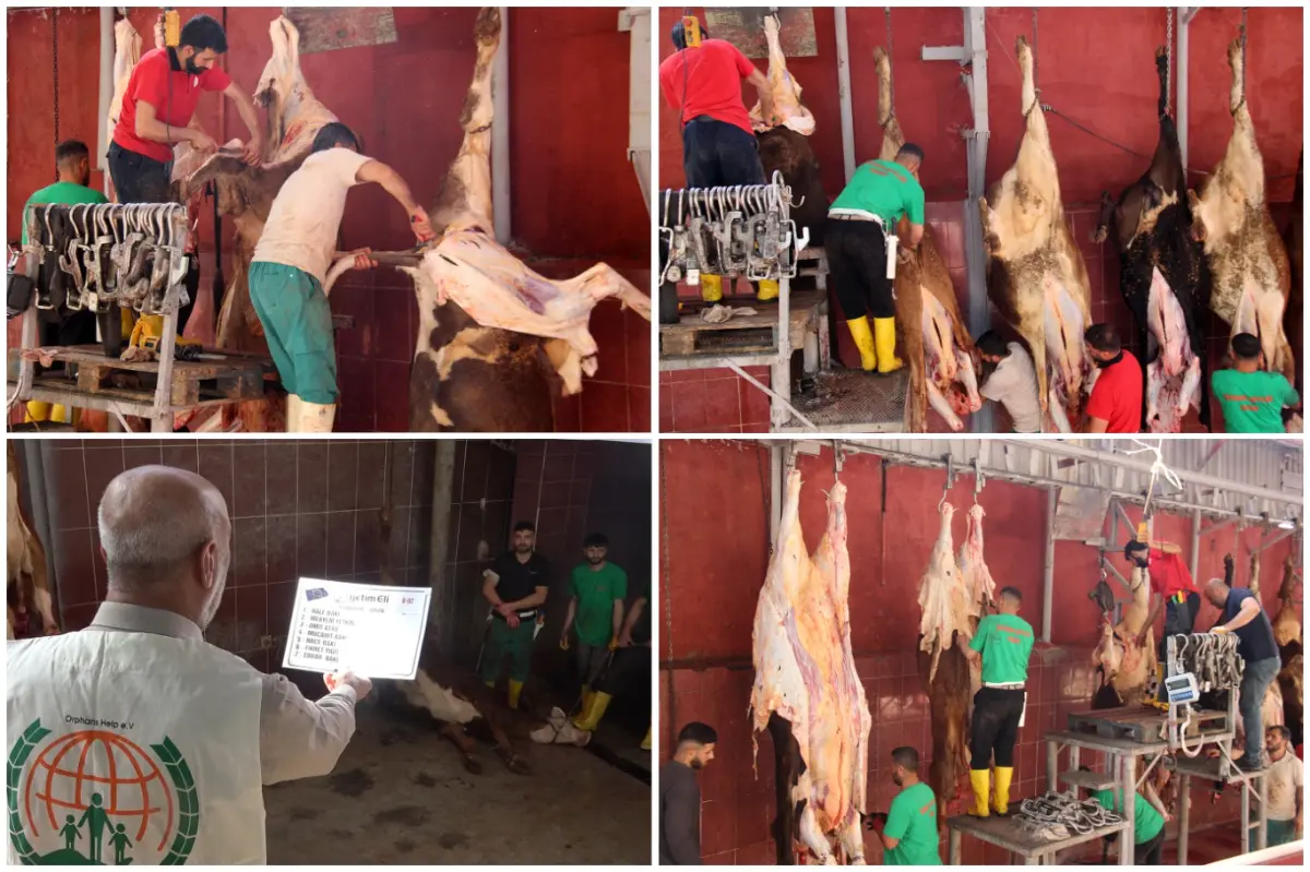 Diyarbakır’da dört yardım kuruluşunun kurban kesimleri başladı galeri görseli 1